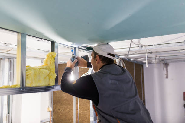 Best Eco-Friendly Insulation in Yorkvle, IL