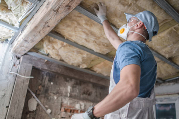 Best Residential Insulation in Yorkvle, IL