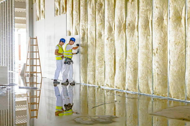 Best Fiberglass Insulation in Yorkvle, IL